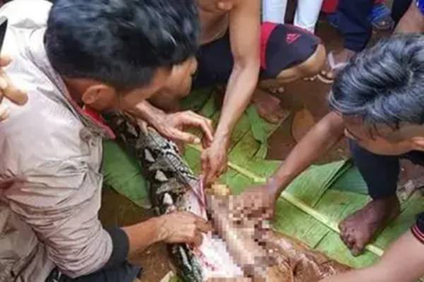 Moradores do vilarejo abriram cobra e encontraram o corpo da mulher