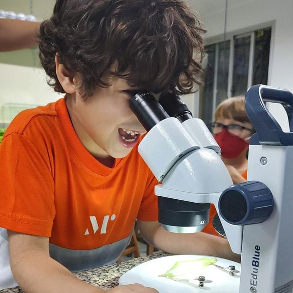 Nas aulas de laboratórios, os alunos tem a oportunidade de utilizar os equipamentos para fazer análises 