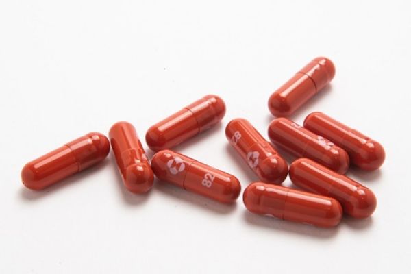 O medicamento da MSD, que tem a marca Lagevrio, começa a chegar nesta semana a clínicas e farmácias brasileiras