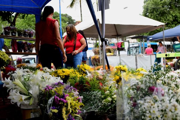 Cemitério de Santo Antônio em Vitória por Fernando Madeira