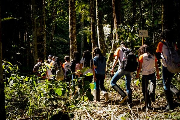 Reserva Ambiental Águia Branca