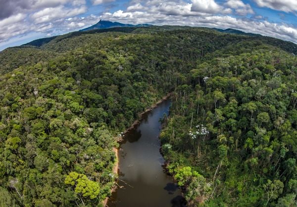 Reserva Ambiental Águia Branca