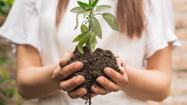 Merece destaque a recente decisão do Governo do Estado e Ministério do Meio Ambiente de aporte de recursos para a elaboração de Planos de Adaptação às Mudanças Climáticas das 78 cidades capixabas