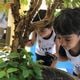 Imagem - Inglês desde a educação infantil estimula desenvolvimento cognitivo