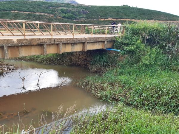 Ponte em Linhares encontra-se em estado crítico, segundo engenheiros