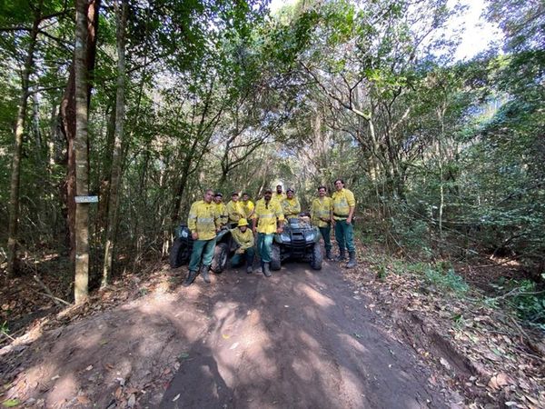 Equipes do Iema e dos Bombeiros trabalharam para combater as chamas no parque