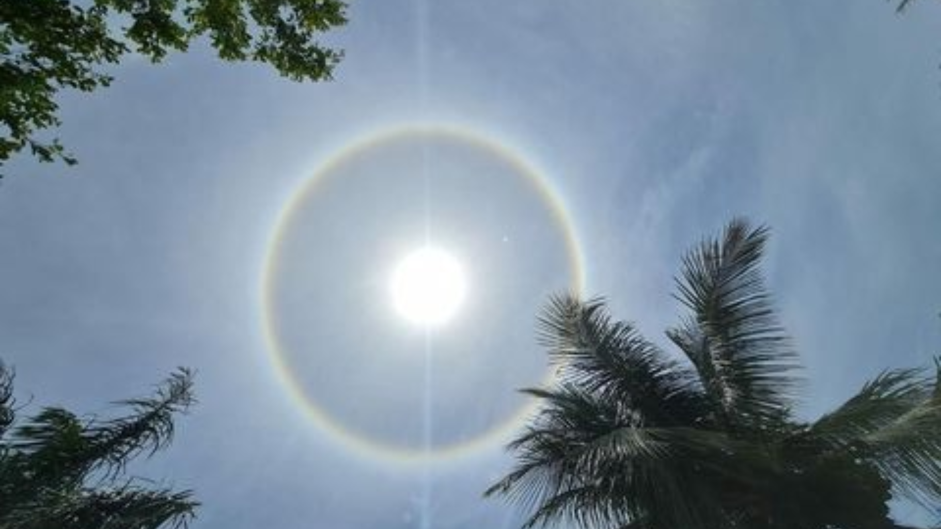 Fenômeno se parece com um arco-íris ao redor do sol e só se forma se o disco solar estiver envolto em uma camada de nuvens altas, do tipo cirrustratus