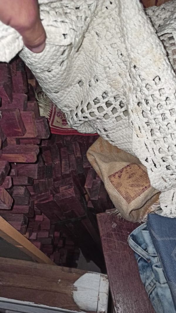 Madeira ilegal apreendida durante a Operação Ibirapitanga II, da Polícia Federal e do Ibama por Divulgação | Polícia Federal