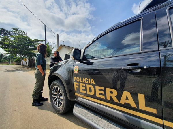 Madeira ilegal apreendida durante a Operação Ibirapitanga II, da Polícia Federal e do Ibama por Divulgação | Polícia Federal
