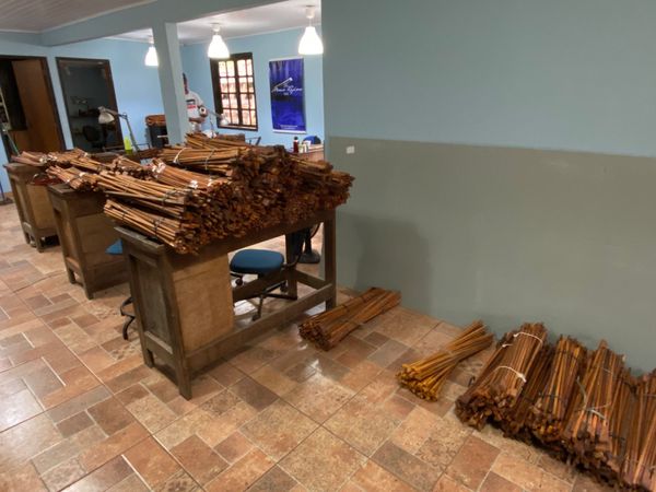 Madeira ilegal apreendida durante a Operação Ibirapitanga II, da Polícia Federal e do Ibama por Divulgação | Polícia Federal