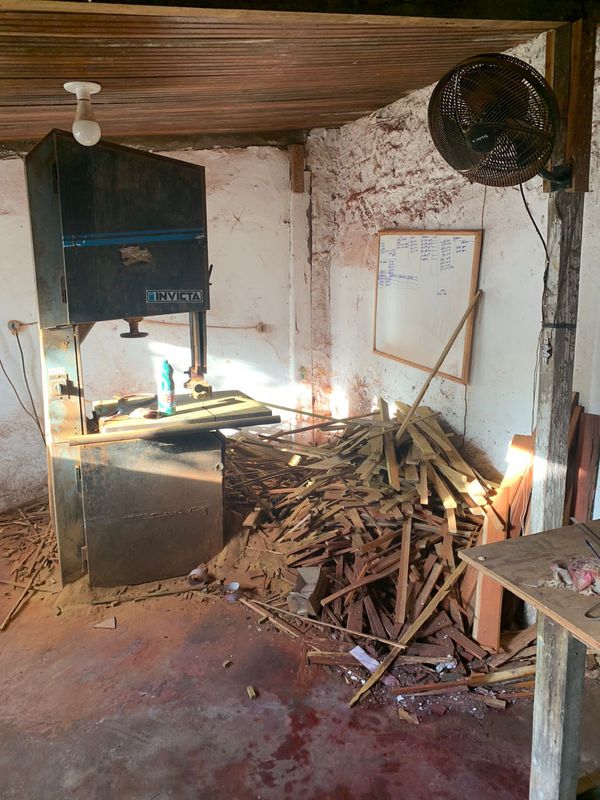 Madeira ilegal apreendida durante a Operação Ibirapitanga II, da Polícia Federal e do Ibama por Divulgação | Polícia Federal