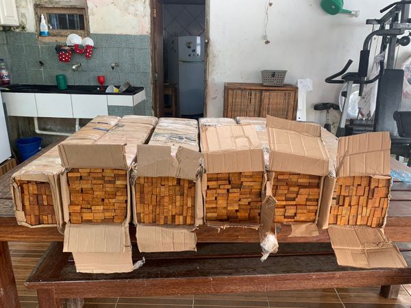 Madeira ilegal apreendida durante a Operação Ibirapitanga II, da Polícia Federal e do Ibama por Divulgação | Polícia Federal