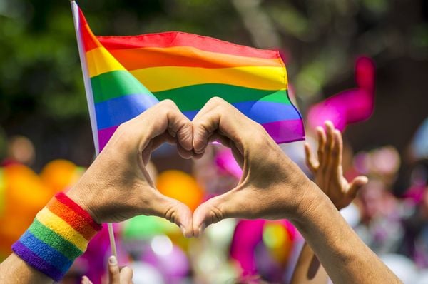 O projeto de Barra de São Francisco se inspira na lei nacional que instituiu o Plano Nacional de Promoção da Cidadania e Direitos Humanos de Lésbicas, Gays, Bissexuais, Travestis e Transexuais
