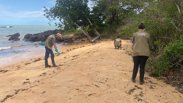 Operação de limpeza teve início após primeiros fragmentos aparecerem no litoral do município, na última quarta-feira (9)
