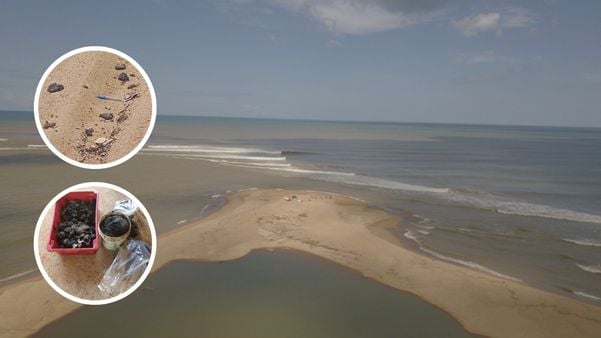Prefeitura confirma fragmentos de óleo no mar de Regência, em Linhares
