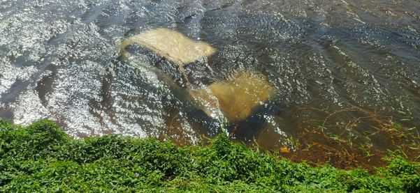 Ainda não se sabe como que o carro caiu na vala, em fazenda de Linhares por Divulgação/Corpo de Bombeiros