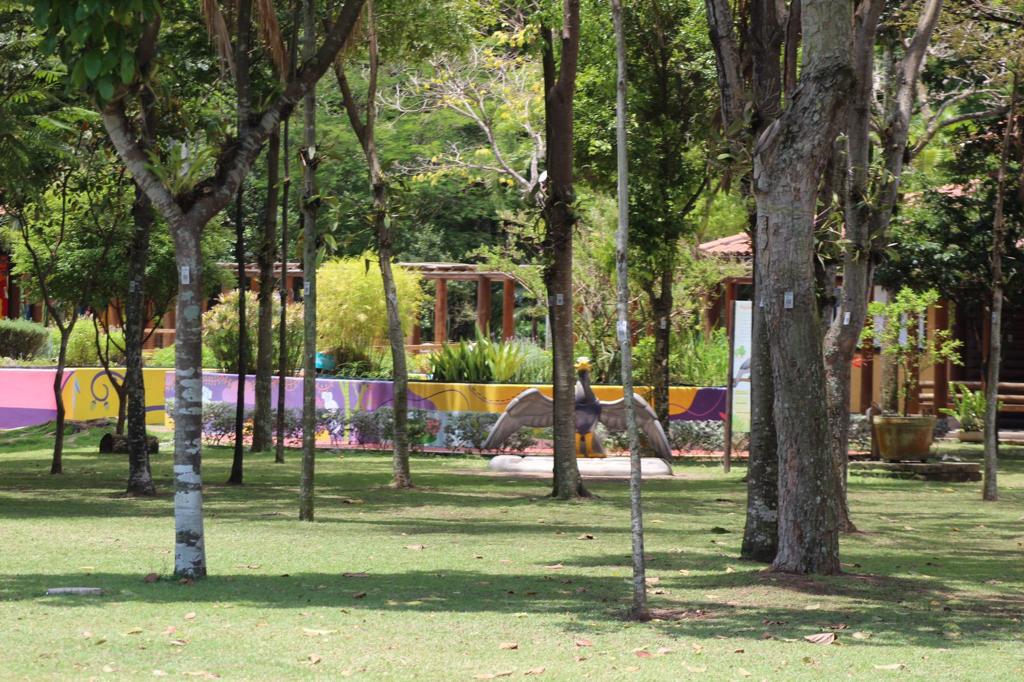 Floresta urbana em Jardim Camburi oferece oportunidades e dinâmicas para recreação e atividades que auxiliam a saúde mental, indicam frequentadores