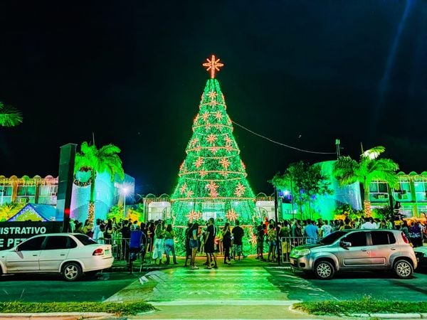 A Gazeta | Anchieta ganha árvores de Natal gigantes para decorar a cidade