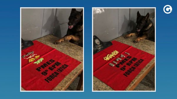 Mais de 100 drogas são apreendidas em Cachoeiro de Itapemirim