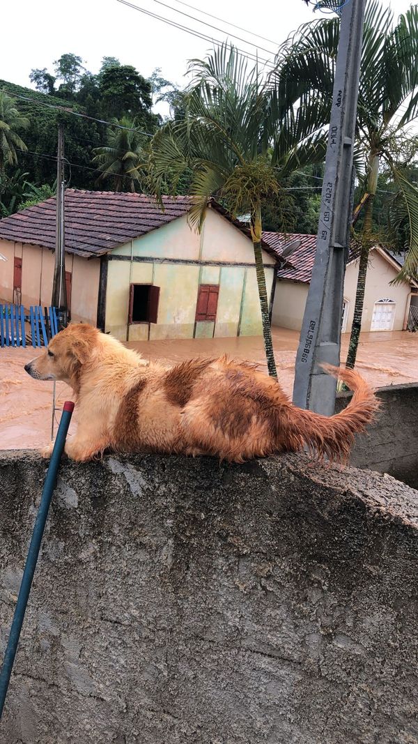 Vila Pavão fica debaixo d'água após chuva forte no ES por Leitor | A Gazeta