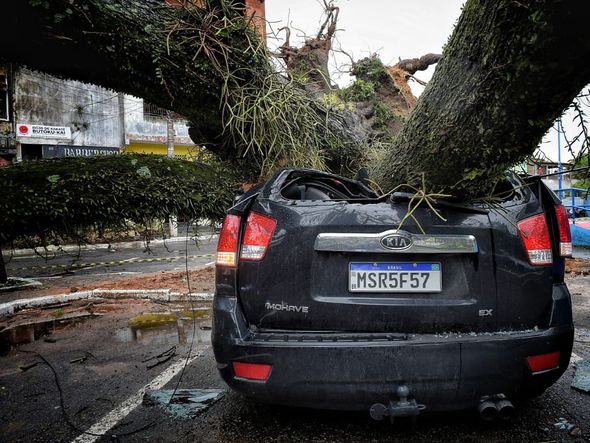Árvore  cai sobre carro em Santo Antônio, Vitória por Fernando Madeira