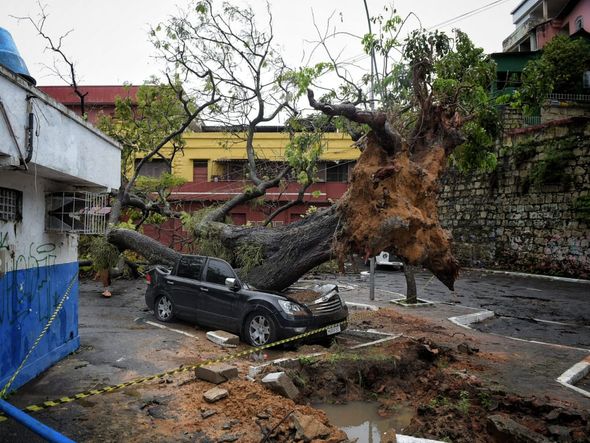 undefined por Fernando Madeira