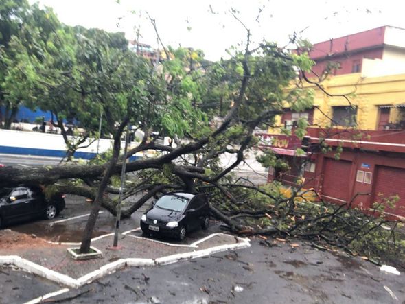 Árvore cai sobre carro em frente ao Cemitério de Santo Antônio, em Vitória por Diony Silva
