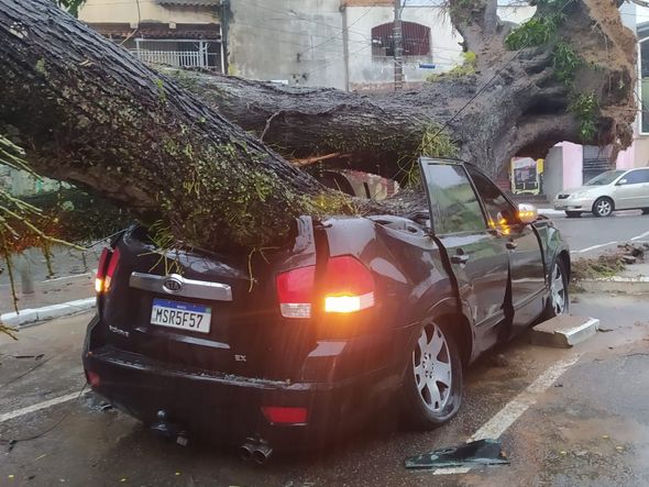 Árvore cai sobre carro em Santo Antônio, Vitória por Leitor | A Gazeta