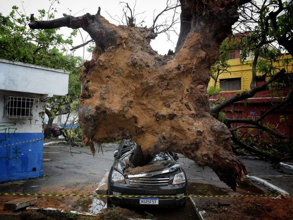 undefined por Fernando Madeira