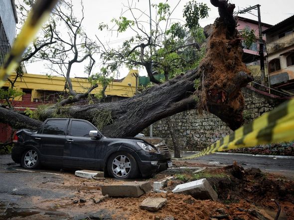 undefined por Fernando Madeira