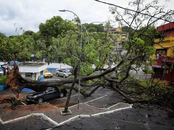 undefined por Fernando Madeira