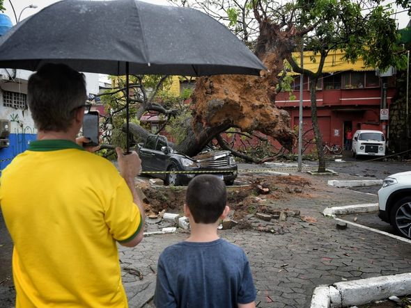 undefined por Fernando Madeira