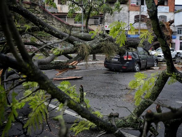 undefined por Fernando Madeira