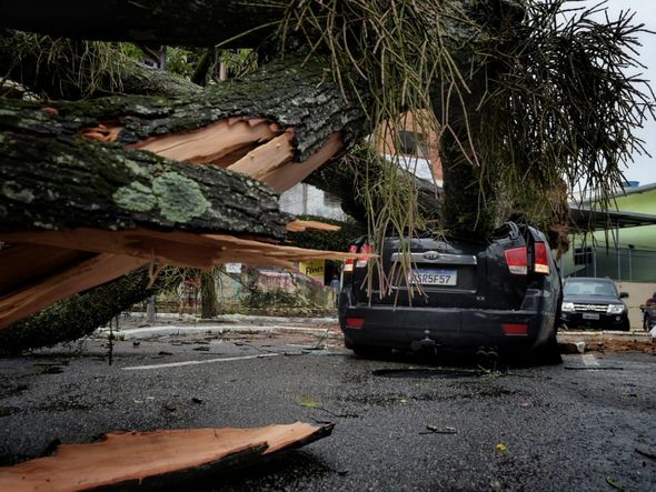 undefined por Fernando Madeira