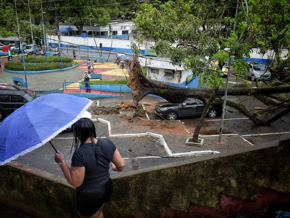 undefined por Fernando Madeira