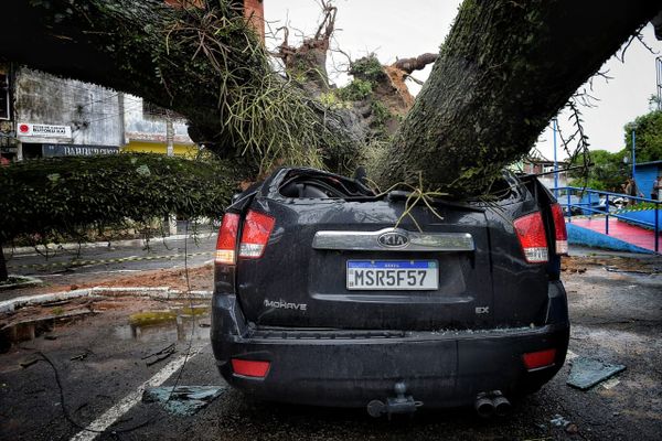 Árvore  cai sobre carro em Santo Antônio, Vitória por Fernando Madeira