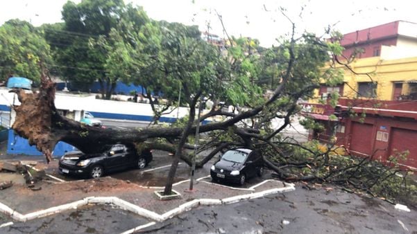Árvore cai sobre carro em frente ao Cemitério de Santo Antônio, em Vitória por Diony Silva