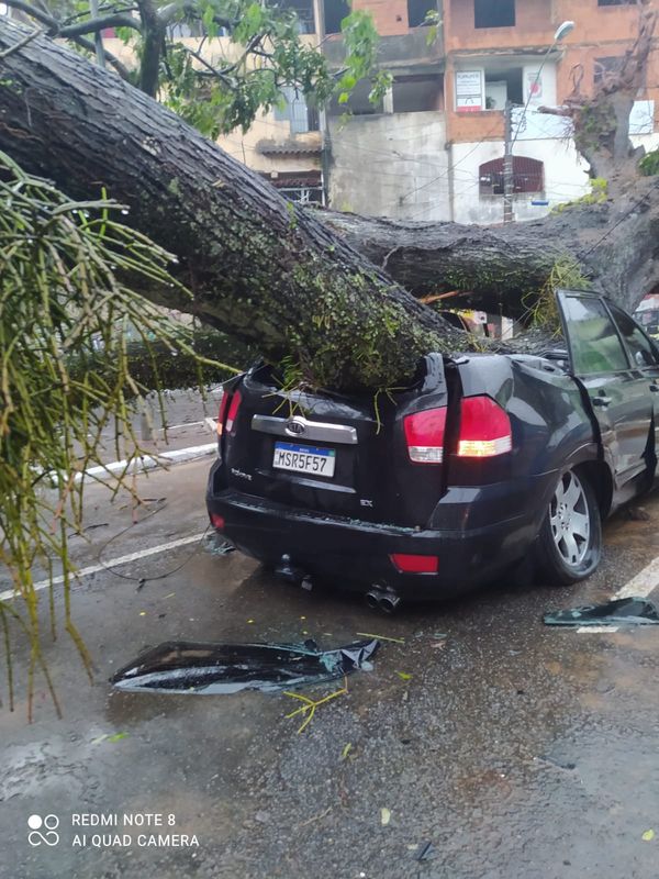 Árvore cai sobre carro em Santo Antônio, Vitória por Leitor | A Gazeta