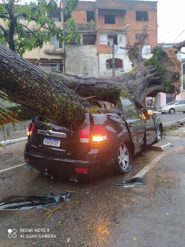 Árvore cai sobre carro em Santo Antônio, Vitória por Leitor | A Gazeta