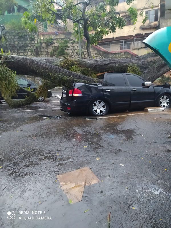 Árvore cai sobre carro em Santo Antônio, Vitória por Leitor | A Gazeta