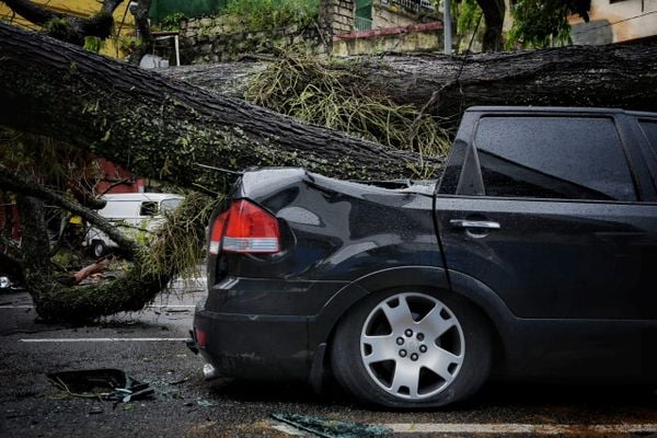 Árvore cai sobre carro em Santo Antônio, Vitória por Fernando Madeira