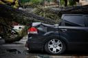 Árvore cai sobre carro em Santo Antônio, Vitória(Fernando Madeira)
