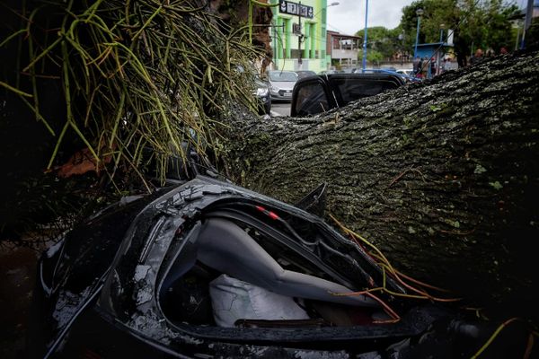 Árvore cai sobre carro em Santo Antônio, Vitória por Fernando Madeira