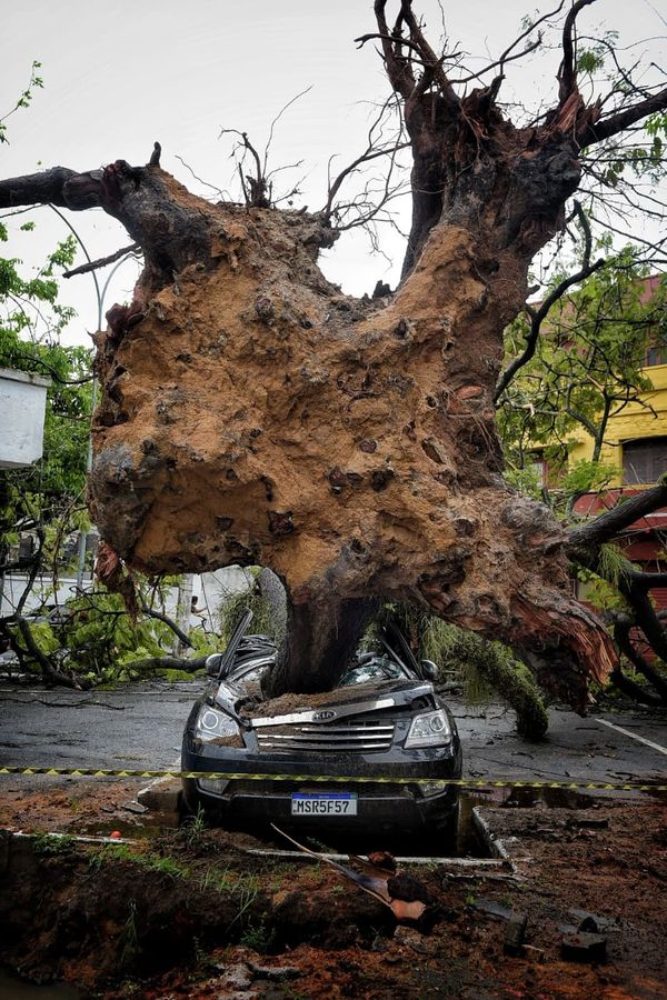 Árvore cai sobre carro em Santo Antônio, Vitória por Fernando Madeira