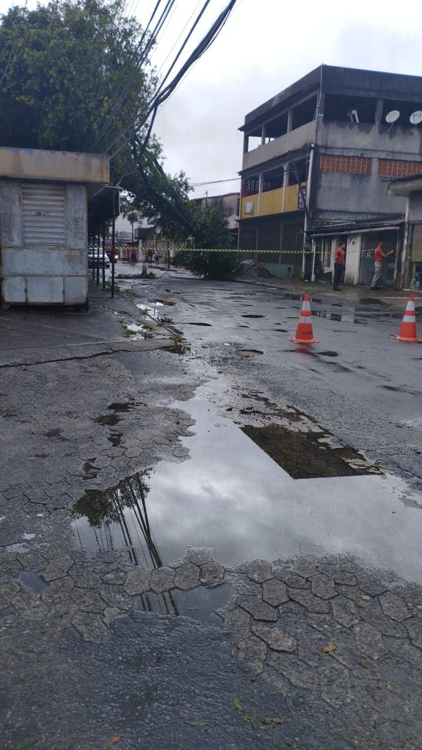 Árvore caiu na rua Gustavo Barroso, em Chácara Parreiral, Serra por Leitor | A Gazeta