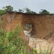 Imagem - BR 101 é fechada no limite entre Aracruz e Linhares após água abrir cratera na pista