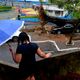 Imagem - ES recebe novo alerta de chuvas intensas; veja cidades