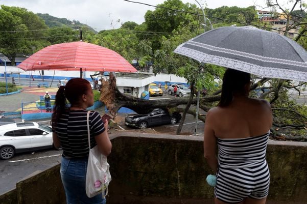 Chuva e ventania derrubam árvore sobre carro em Santo Antônio na manhã do dia 28, segunda-feira