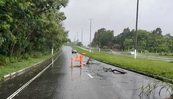 Cratera aberta na Avenida Audifax Barcelos, na Serra por Fernando Estevão