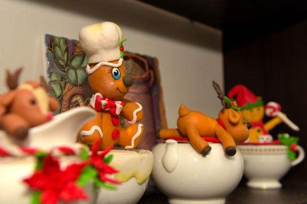 Meirelande Freitas decorou a casa para a chegada do natal  por Fernando Madeira